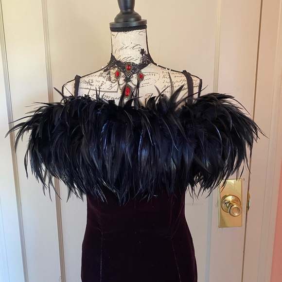 Vintage Velvet Gothic Gown with Feather Neckline - Picture 8 of 13